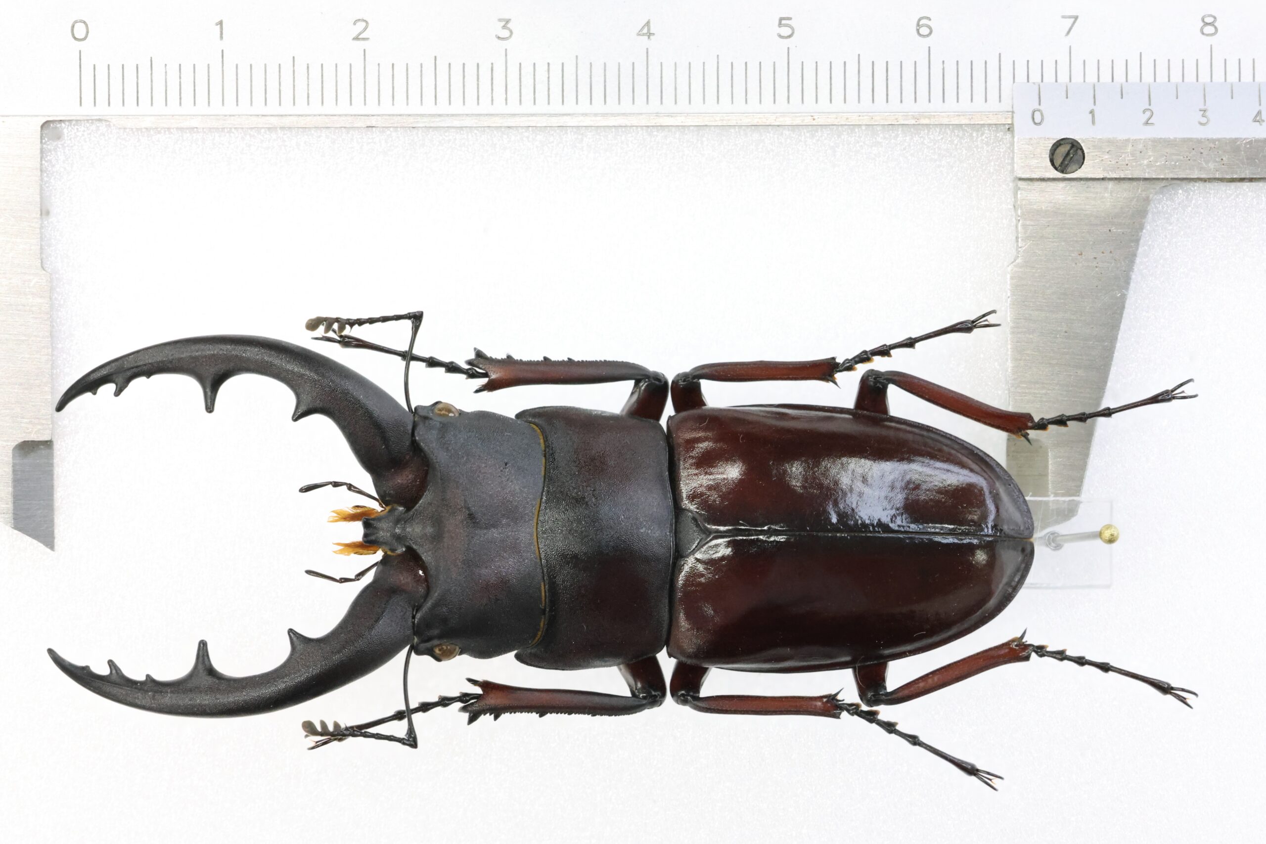 0F8A8436-scaled.jpg